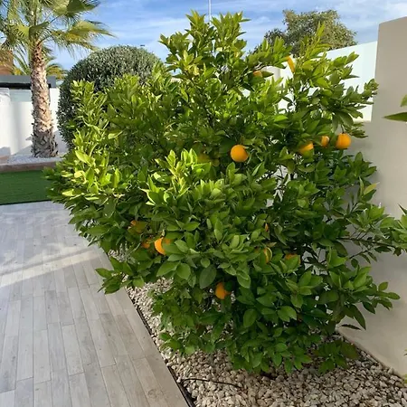 Villa Casa Bos Orange Wellness Luxury Entire Jacuzzi & Pool Gran Alacant Near *